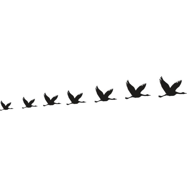 Ducks Flying Row Thumbnail