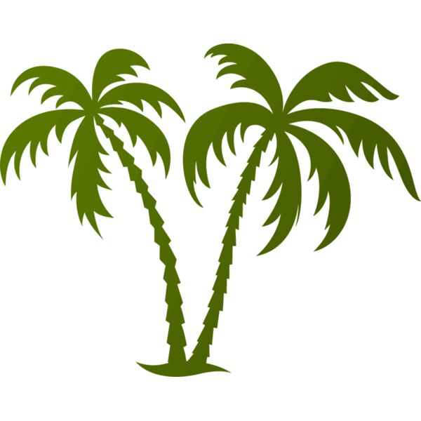 Palm tree 2 Thumbnail
