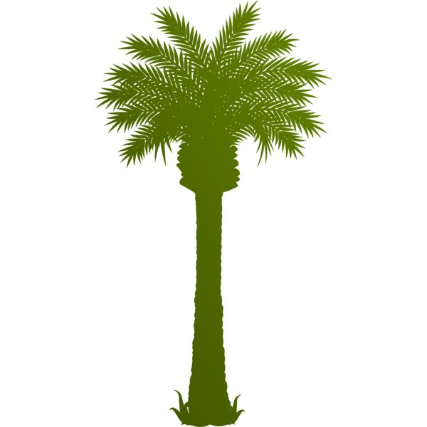 Palm tree 3 Thumbnail