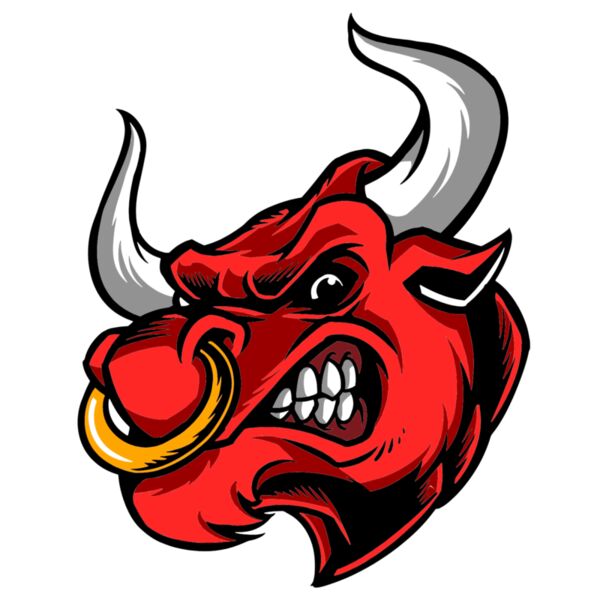 Bull Thumbnail
